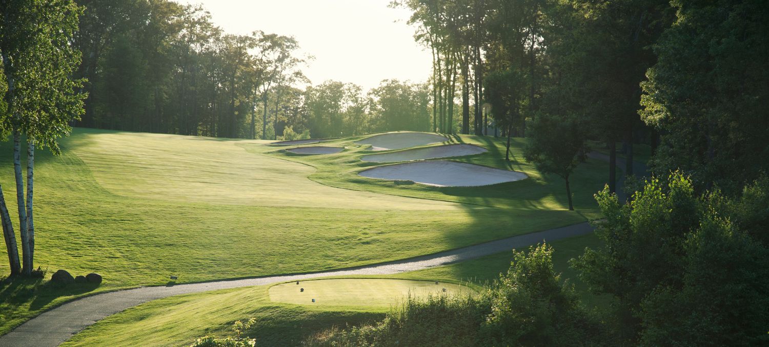 MASH UP GOLF